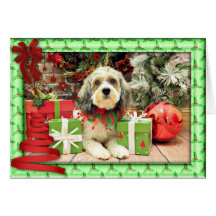 Noël - ShihPoo - poivre Cartes