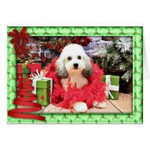 Noël - ShihPoo - Sophie Cartes De Vœux
