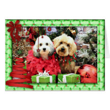 Noël - ShihPoo - Sophie et Twix Carte De Vœux