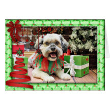 Noël - ShihPoo - truc Carte De Vœux