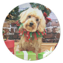Noël - ShihPoo - Twix Assiette
