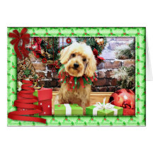 Noël - ShihPoo - Twix Cartes De Vœux