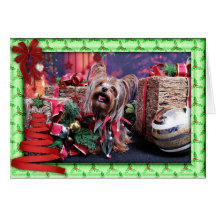 Noël - Yorkie - chasse Cartes De Vœux