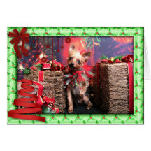 Noël - Yorkie - Lucy Cartes De Vœux