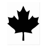noir d'icône de feuille d'érable du Canada Carte Postale