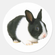 Noir et blanc de lapin autocollant rond