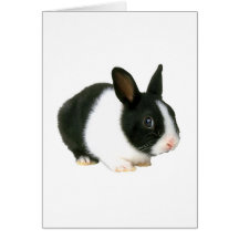 Noir et blanc de lapin cartes de vœux