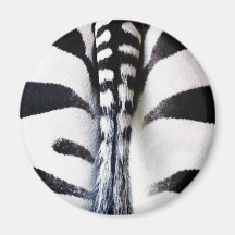 Noir et blanc de queue de zèbre magnets pour réfrigérateur