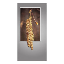Noisette Photocartes