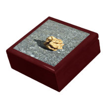 Noix tout préparée sur un granule boîte à bijoux