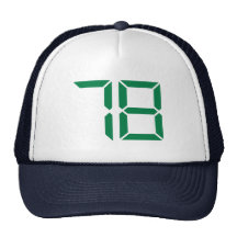 Nombre - 78 casquettes de camionneur