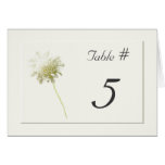 Nombres floraux de Tableau de mariage de pissenlit Cartes De Vœux