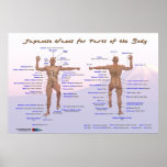 Noms japonais pour des parties du corps posters