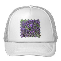 non défini casquettes de camionneur
