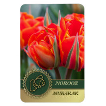 Norooz Mubarak. Aimant persan de cadeau de nouvell Magnets Rectangulaire
