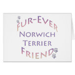 Norwich Terrier Furever Carte De Vœux