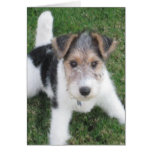 Note de chiot de fil cartes de vœux