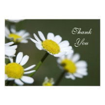 Notes de Merci de marguerites blanches - plates Invitations