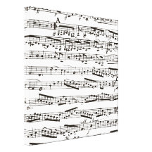 Notes musicales noires et blanches toile tendue