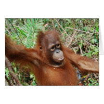 Nounours d'orang-outan carte de vœux