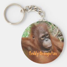 Nounours d'orang-outan sur l'île du Bornéo Porte-clef