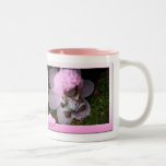 Nounours Tasse À Café