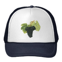 Nourriture vintage, fruit, raisins de vin rouge, f casquettes