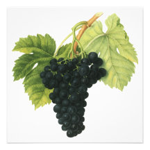 Nourriture vintage, fruit, raisins de vin rouge, f faire-part personnalisé