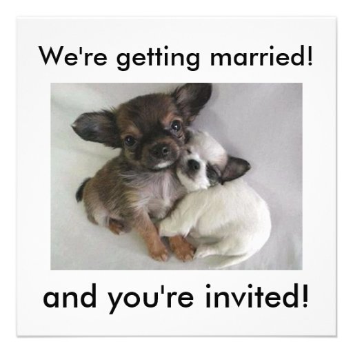 Nous nous marions ! , et vous êtes invités ! invitations