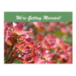 Nous nous marions ! les cartes postales font gagne