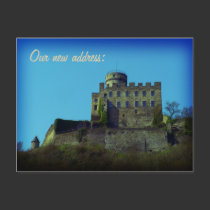 Nous nous sommes déplacés - carte de motif de chât cartes postales