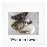 Nous sommes dans l'amour ! invitation personnalisable