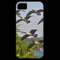 NOUVELLE couverture canadienne des oies iphone5 coques case-mate