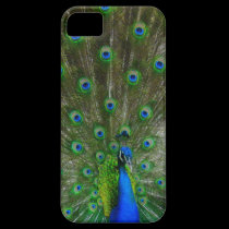 NOUVELLE couverture de paon de l'iphone 5 coques case-mate
