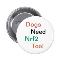 Nrf2 canin badges avec agrafe