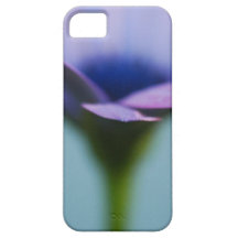 Nuances de marguerite de caisse bleue de l'iPhone  Étuis iPhone 5