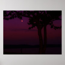 Nuances de nuit posters