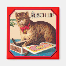 Nuisez au chat magnets