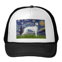 Nuit étoilée - whippet (11b) casquette de camionneur