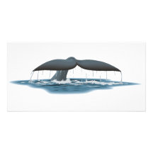 Observateur de baleine cartes avec photo
