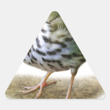 observation des oiseaux de fauvette de T-shirt d'o Adhésif