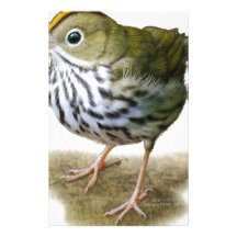 observation des oiseaux de fauvette de T-shirt d'o Papier À Lettre Personnalisé