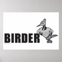 Observation d'oiseau de pivert posters