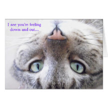 Obtenez la carte de Meow de puits/de chat