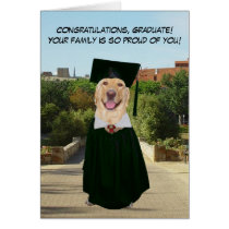 Obtention du diplôme drôle de chien/laboratoire de cartes