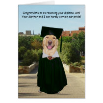 Obtention du diplôme drôle de chien/laboratoire po cartes