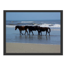 OBX CARTES POSTALES