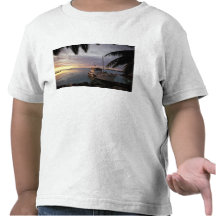 Océanie, Polynésie, îles Cook, Aitutaki, T-shirt