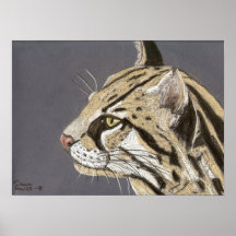 ocelot - affiche