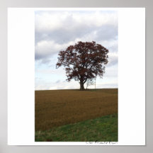 Octobre Affiche